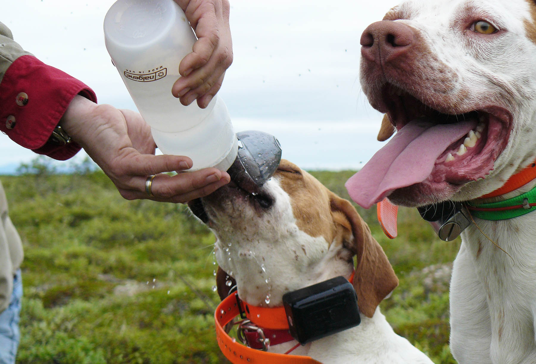 Beat the Heat